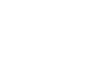 LOGO_AMNISTIAINT