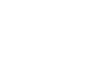 MCCAIN_LOGO