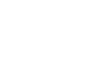 logo_VISA